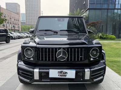 2019 Mercedes-Benz G-Class AMG AMG G 63 First Edition, фото 2, лот 10298089