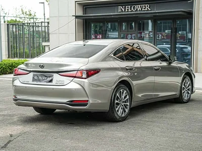 2022 Lexus ES 200 Excellence Edition, фото 4, лот 11139686