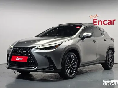 2024 Lexus NX 350h Luxury, фото 1, лот 10526858