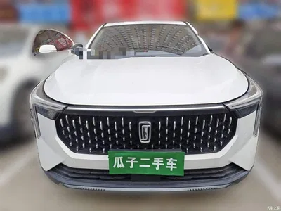 2021 Besturn Bestune T55 1.5T Automatic LOHAS·Premium Edition, фото 2, лот 10393407