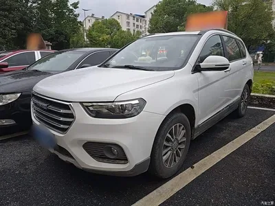 2017 Haval H6 Blue Label Sport 1.5T Auto 2WD Luxury, фото 2, лот 11549609