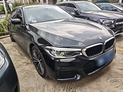 2020 BMW 5 Series 530Li Leading M Sport Package, фото 4, лот 11183797