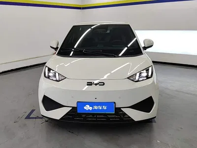 2025 BYD Seagull Smart Drive Edition 305km Freedom Version, фото 2, лот 10247073