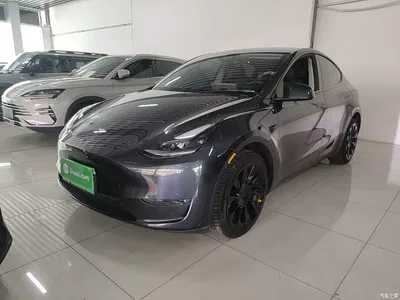 2024 Tesla Model Y Long Range AWD, фото 1, лот 11550057