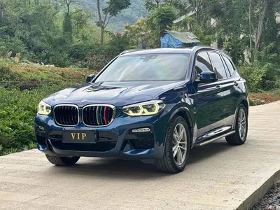 2019 BMW X3 xDrive28i M Sport Package, фото 1, лот 10461739