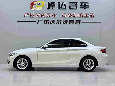 2015 BMW 2 Series (Import) 218i, фото 2, лот 10889855