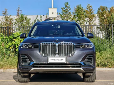 2020 BMW X7 xDrive40i Leading Luxury Package, фото 2, лот 10475748