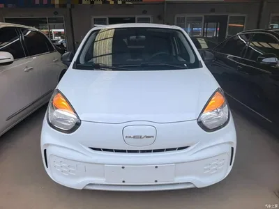 2022 Roewe Kaiwei CLEVER 311km Vitality Bobo Edition, фото 3, лот 10449376