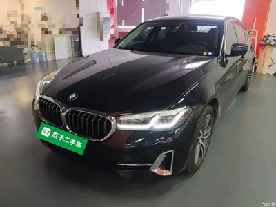 2023 BMW 5 Series 530Li Leading Luxury Package, фото 1, лот 11224055