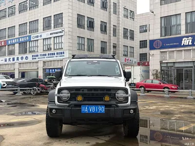 2023 Tank 300 Off-Road Edition 2.0T Conqueror, фото 2, лот 11137401