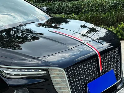 2023 Hongqi H5 2.0T Auto Smart Connect Flag Comfort, фото 2, лот 11136705