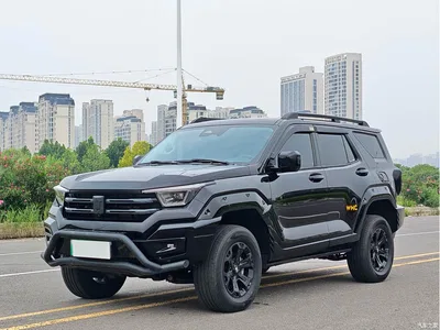 2024 Tank 400 New Energy Hi4-T Off-Road Edition, фото 1, лот 10344449