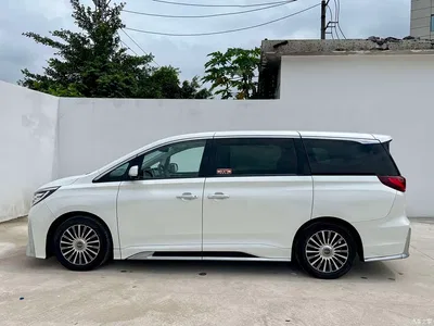 2021 GAC Trumpchi Trumpchi M8 Master Series 390T 4-Seat Glory Edition, фото 3, лот 10416801