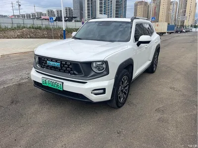 2023 Haval Second-Generation Big Dog New Energy DHT-PHEV 105km Trendy Electric Edition Plus, фото 1, лот 11170868