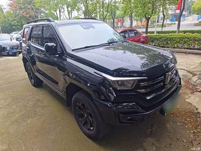 2024 Tank 400 New Energy Hi4-T Off-Road Edition, фото 4, лот 11081499