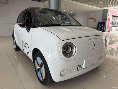 2021 Ora Black Cat 301km Pet Edition, фото 3, лот 10331137
