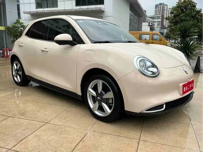 2022 Ora Good Cat Model Morandi Edition 400km Standard Range Luxury NCM, фото 4, лот 10330837