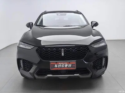2017 WEY VV7 2.0T Flagship, фото 3, лот 10401168