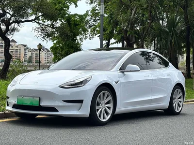 2019 Tesla Model 3 Standard Range Rear-Wheel Drive Upgrade, фото 1, лот 10346259