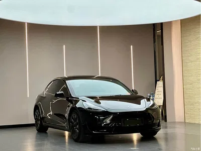2022 Tesla Model 3 Model Rear-Wheel Drive Version, фото 3, лот 10353791