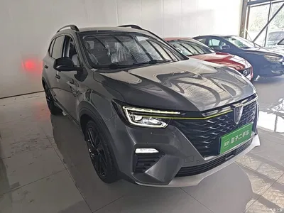 2020 Roewe RX5 PLUS 300TGI Auto Ali Guo Chao Ronglin Edition, фото 4, лот 10342936