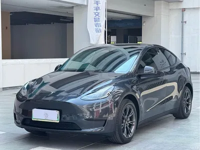 2024 Tesla Model Y Rear-Wheel Drive Version, фото 1, лот 10888492