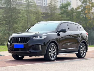 2018 WEY VV6 2.0T 2WD Flagship China V, фото 1, лот 11081382