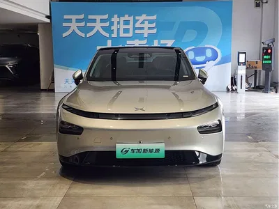 2020 XPeng P7 Model 670N, фото 2, лот 10374705