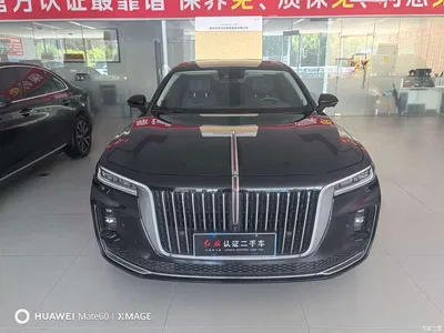 2023 Hongqi H9 Model 2.0T Smart Connect Flagship Edition, фото 2, лот 10285548