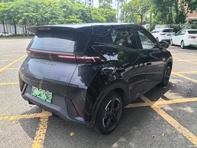 2024 BYD Seagull Glory Edition 305km Freedom Edition, фото 4, лот 10257499