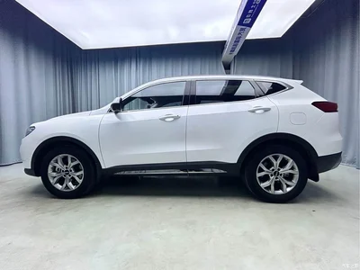 2021 Haval H6 Model National Trend Edition 1.5T Auto Champion, фото 4, лот 10281825