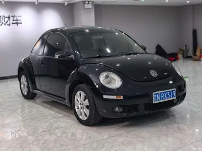 2010 Volkswagen Beetle Model 2.0 BlackOrange Luxury Edition, фото 3, лот 10259631