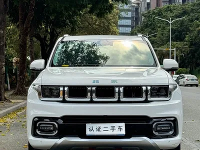 2022 BAIC ORV Beijing Off-Road BJ60 Model 2.0T 11th Edition 5-Seater, фото 2, лот 10827689