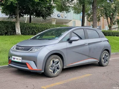 2021 BYD Dolphin 405km Freedom Edition, фото 1, лот 11516941