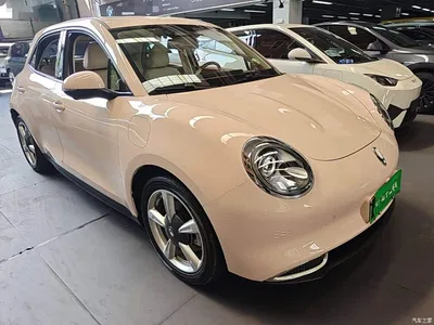 2023 Ora Good Cat 401km Standard Range Honor Edition (LFP), фото 4, лот 10330799