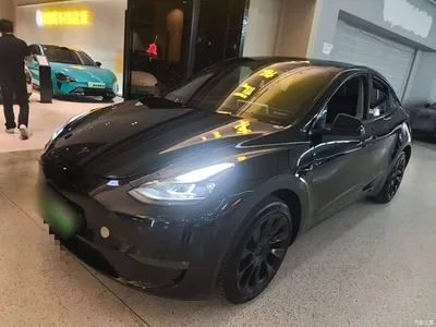 2024 Tesla Model Y Long Range AWD, фото 2, лот 11197400