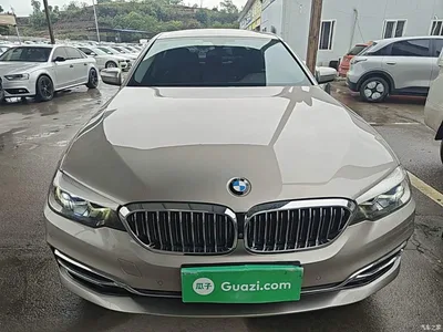 2020 BMW 5 Series 525Li Luxury Package, фото 3, лот 11017296