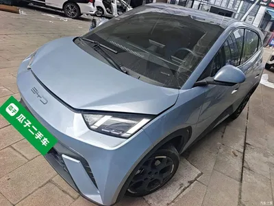 2025 BYD Seagull Smart Drive Edition 305km Freedom Version, фото 1, лот 10259022