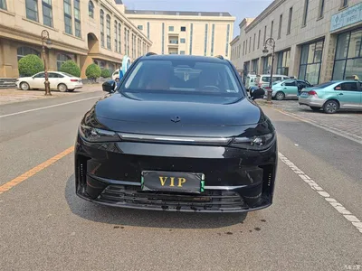 2024 Leapmotor C16 Extended Range 200 Premium Edition, фото 2, лот 11241390