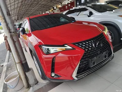2020 Lexus UX 260h Explore Fun Edition, фото 4, лот 10319379