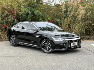 2023 BYD Han DM-i Champion Edition 121KM Premium, фото 3, лот 10246495