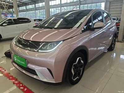 2021 BYD Dolphin Model 405km Fashion Edition, фото 2, лот 10264171