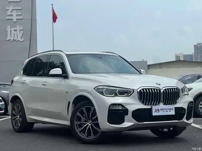 2020 BMW X5 (Import) xDrive40i M Sport Package, фото 3, лот 10421240