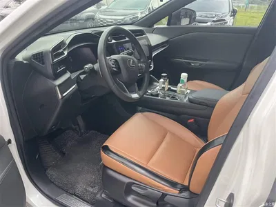 2023 Lexus RZ 450e 4WD Expedition Edition, фото 4, лот 11017409