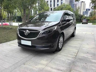 2017 Buick GL8 ES 28T Premium China V, фото 1, лот 10250915