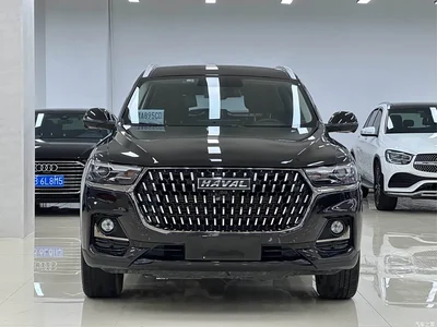2021 Haval H6 Model National Trend Edition 1.5T Auto Champion, фото 2, лот 10296049