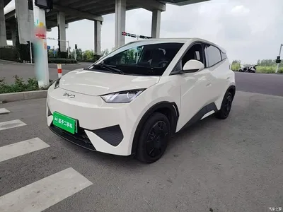 2025 BYD Seagull Smart Drive Edition 305km Vitality Version, фото 2, лот 10260601