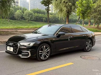 2019 Audi A6L 40 TFSI Luxury Dynamic, фото 1, лот 10424418