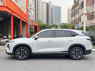 2024 Wuling Motors Wuling Xingguang S 510km Navigation Edition, фото 4, лот 10836391