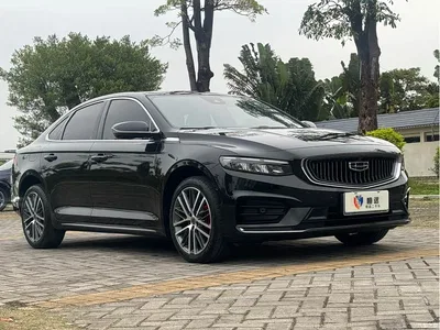 2021 Geely Xing Rui 2.0TD Premium, фото 3, лот 10358936